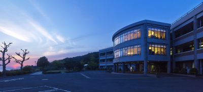 画像（写真・ロゴ等）