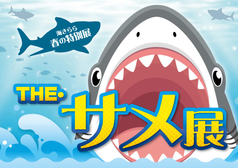 九十九島水族館海きらら春の特別展　THE・サメ展